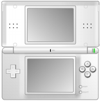Nintendo DS